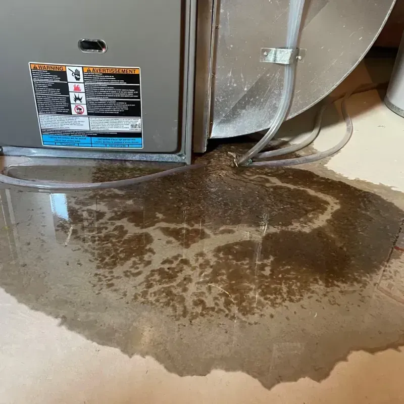 Appliance Leak Cleanup in Marion County, TX